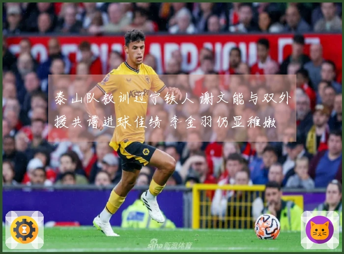 泰山队教训辽宁铁人 谢文能与双外援共谱进球佳绩 李金羽仍显稚嫩