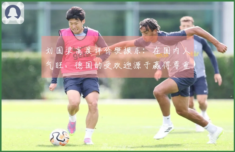 刘国梁高度评价樊振东：在国内人气旺，德国的受欢迎源于赢得尊重